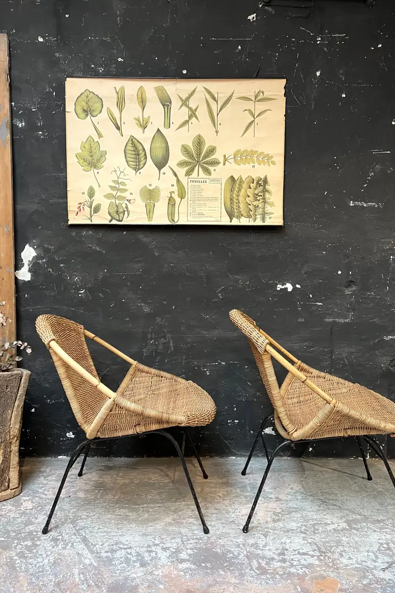 Paire de fauteuils en rotin Années 50