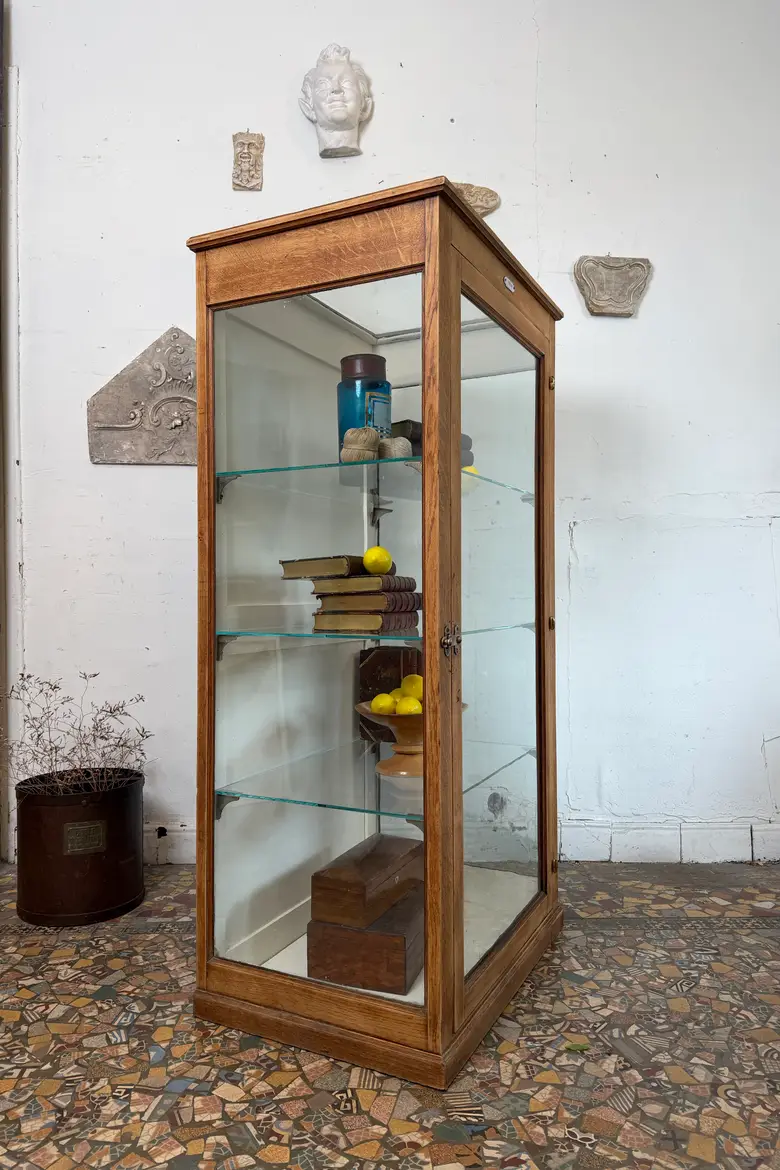 Rare vitrine de musée en chêne – vers 1900