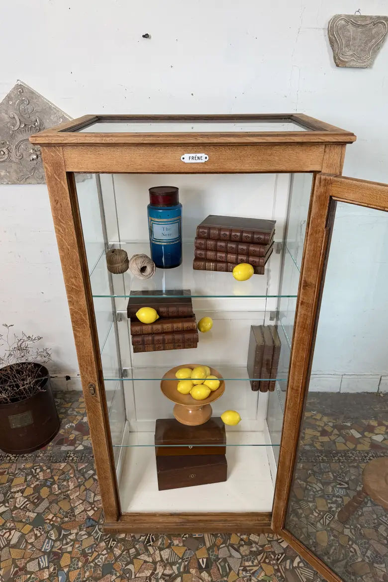 Rare vitrine de musée en chêne – vers 1900