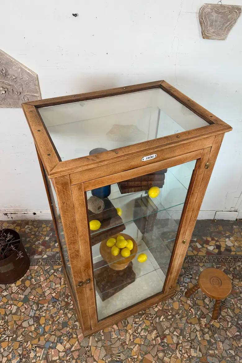 Rare vitrine de musée en chêne – vers 1900