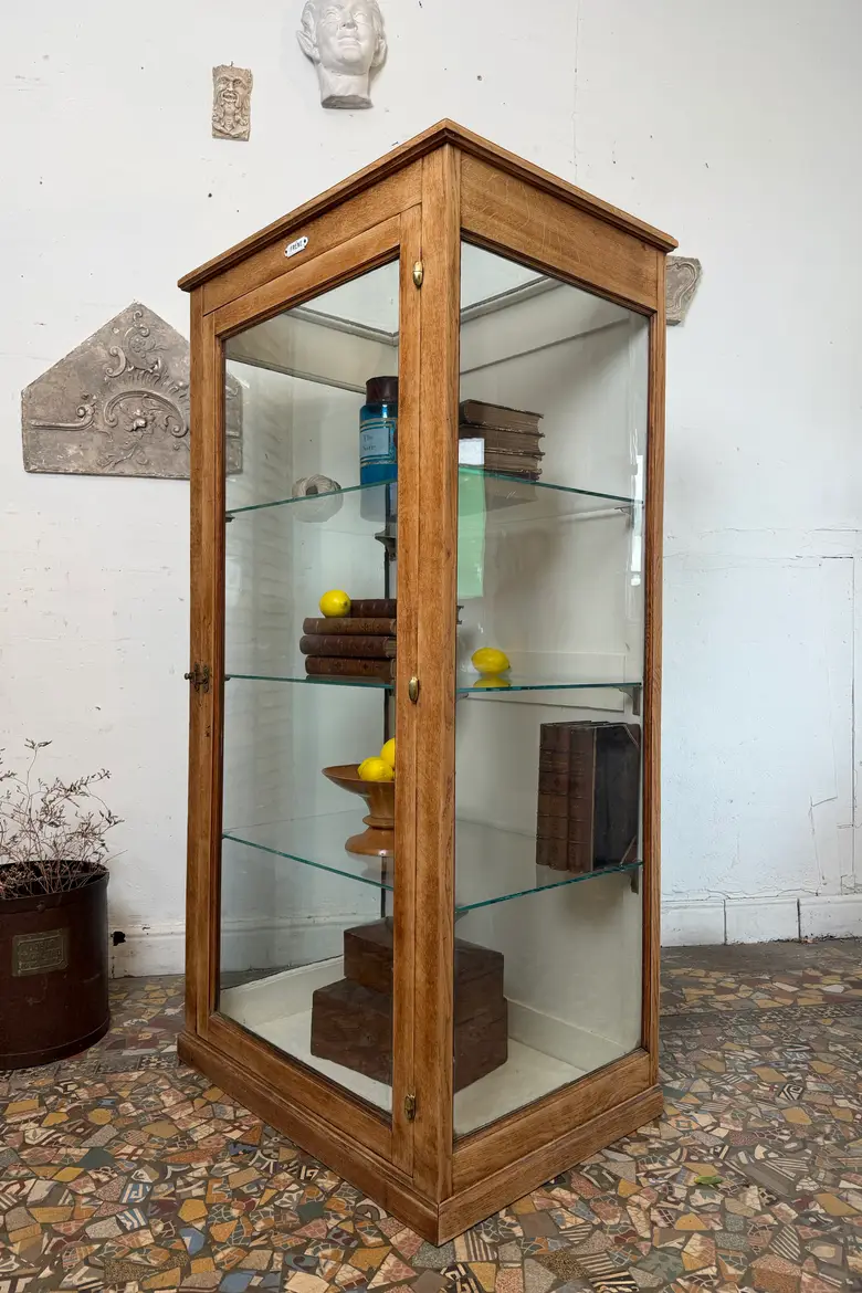 Rare vitrine de musée en chêne – vers 1900