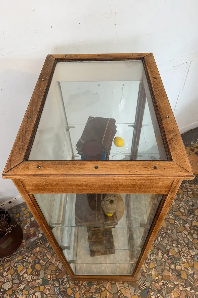 Rare vitrine de musée en chêne – vers 1900