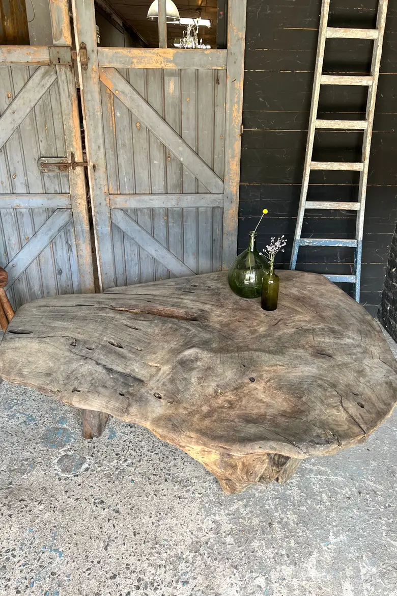 Table basse en racine de suar Début XXème
