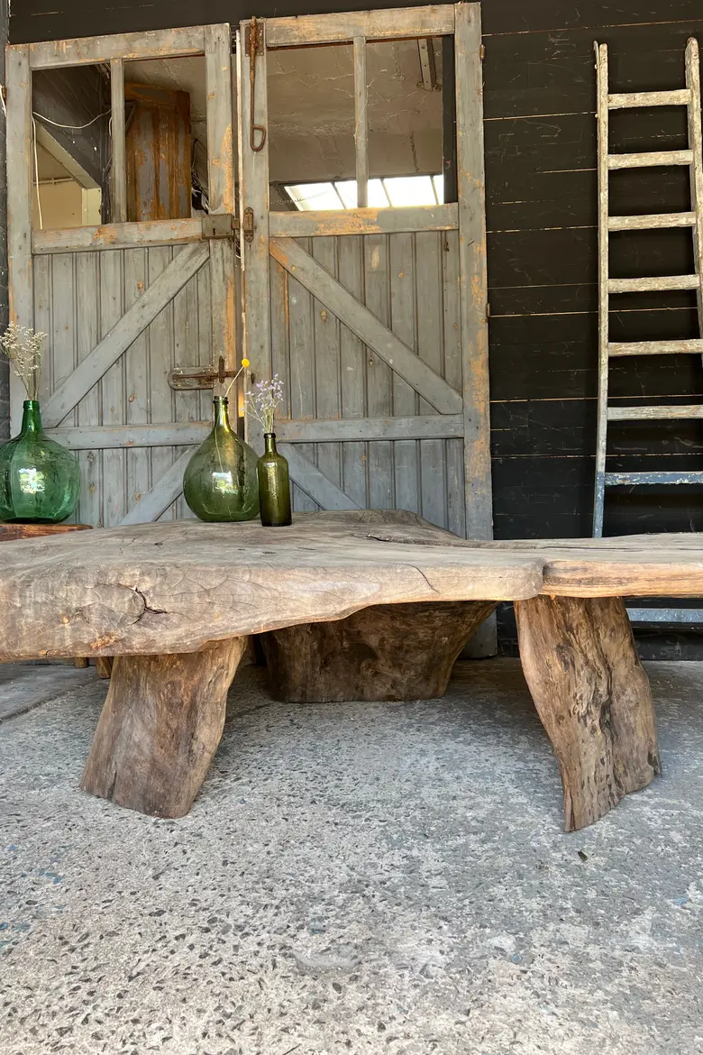Table basse en racine de suar Début XXème