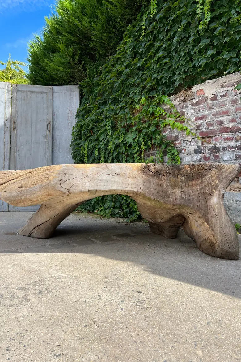 Table basse en racine de Suar Début XXème