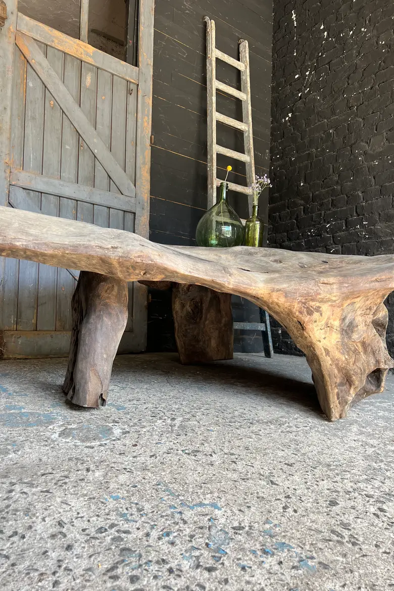 Table basse en racine de suar Début XXème