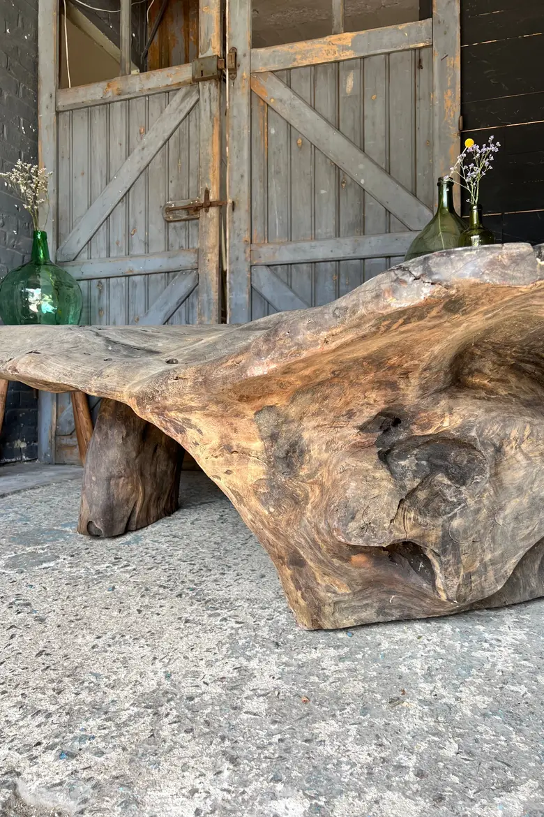 Table basse en racine de suar Début XXème