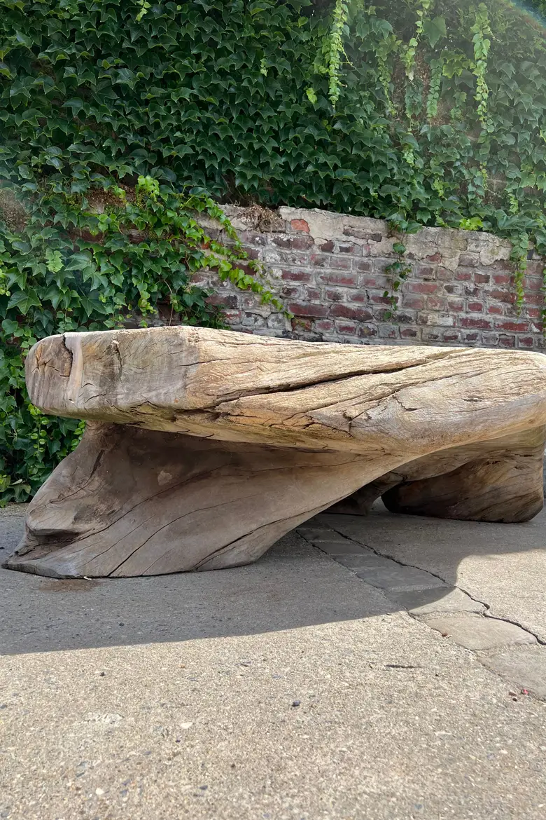 Table basse en racine de Suar Début XXème