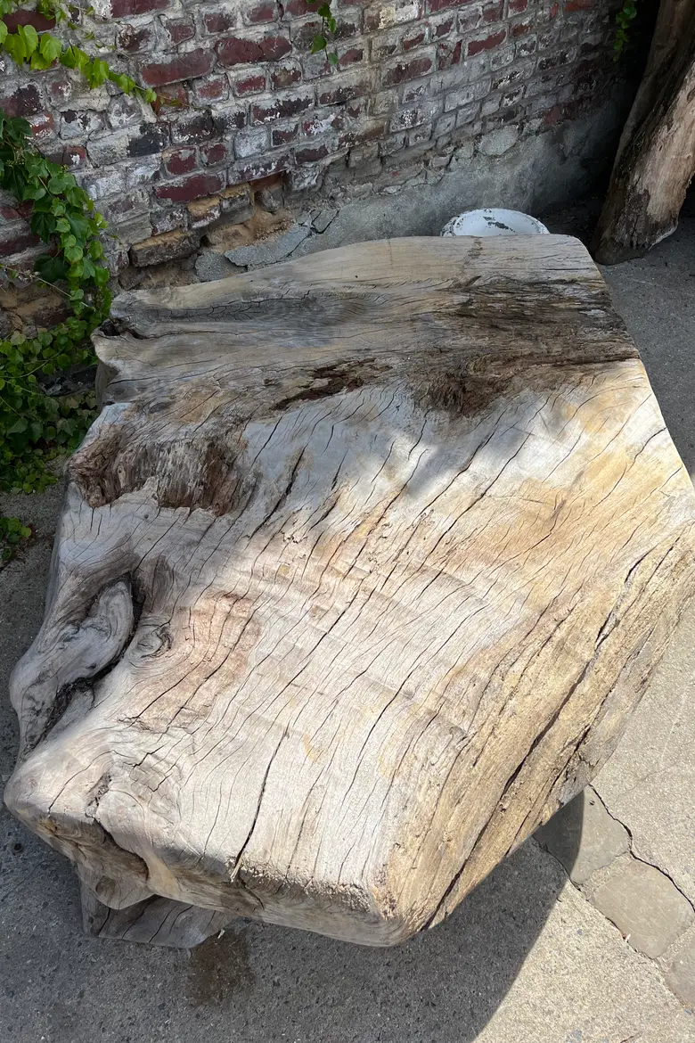 Table basse en racine de Suar Début XXème