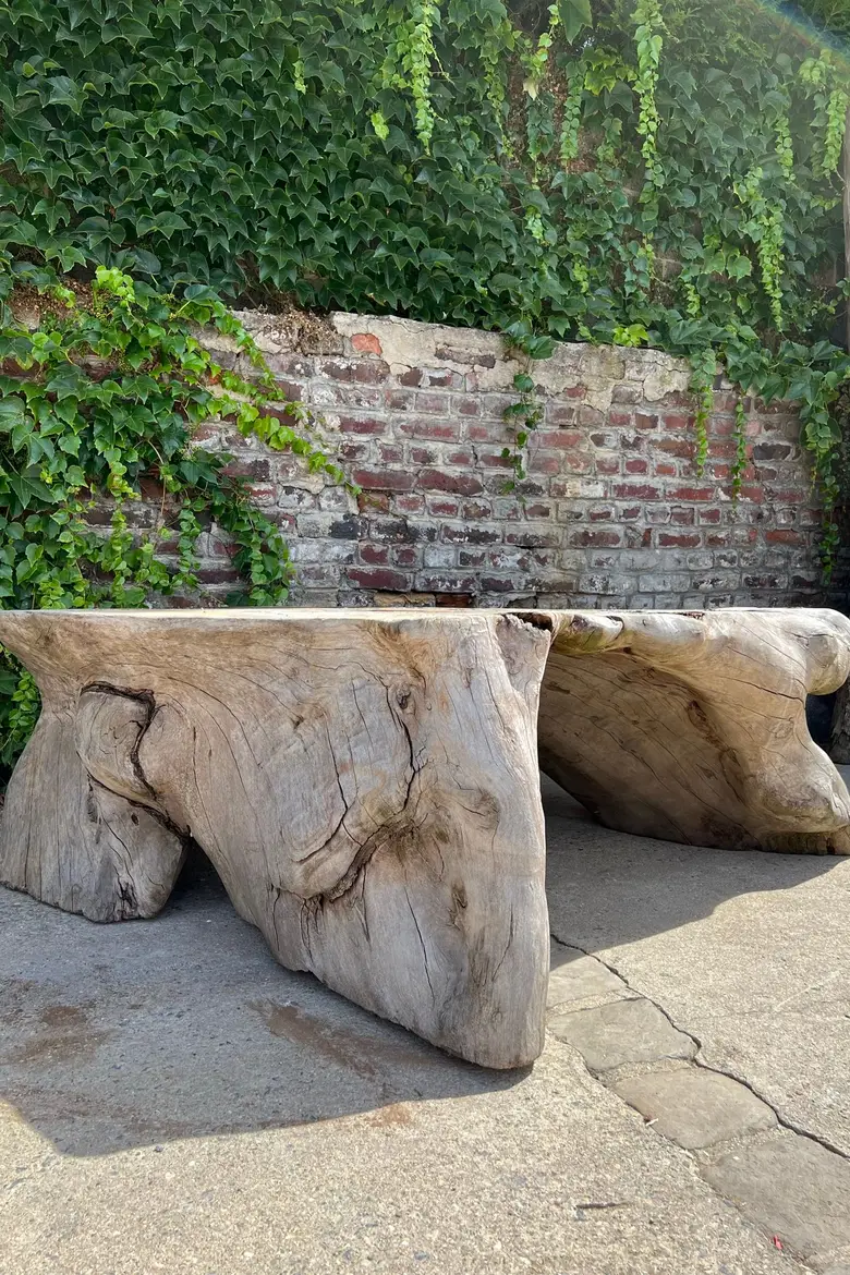Table basse en racine de Suar Début XXème