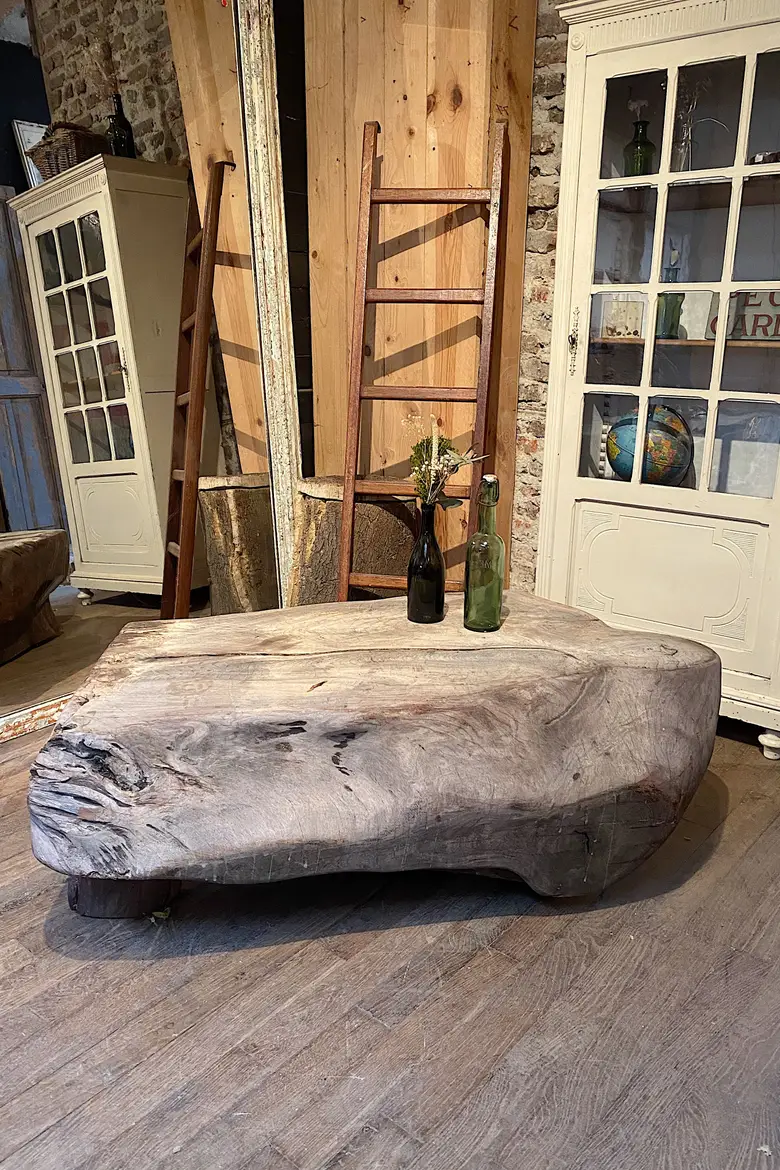 Table basse en racine de Suar Début XXème