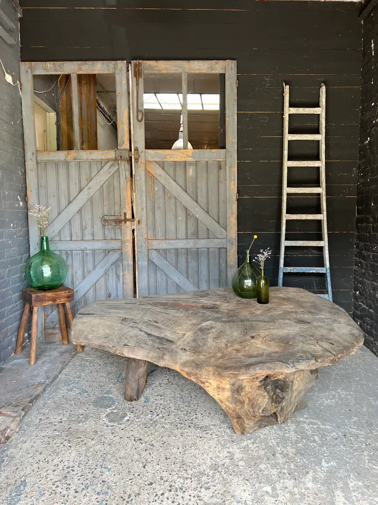 Table basse en racine de suar Début XXème