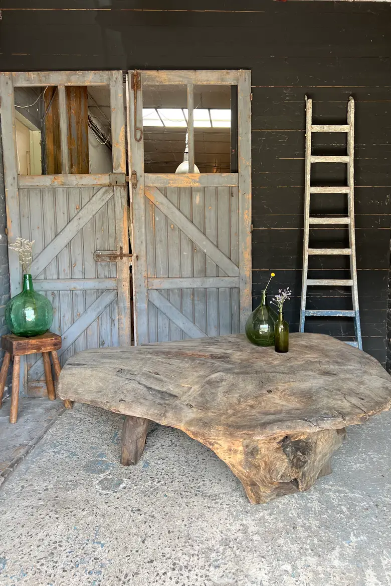 Table basse en racine de suar Début XXème
