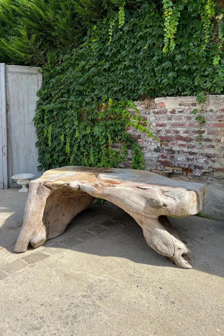 Table basse en racine de Suar Début XXème