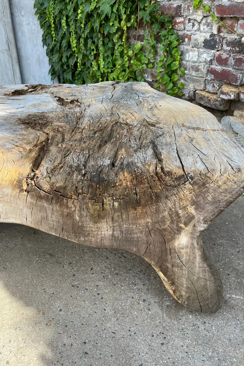 Table basse en racine de Suar Début XXème