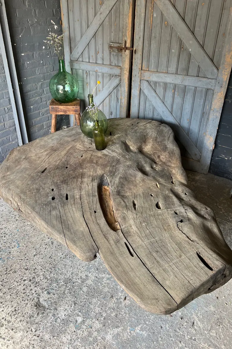 Table basse en racine de suar Début XXème