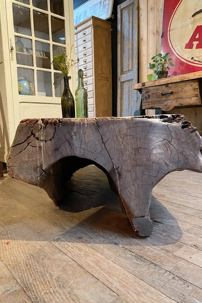 Table basse en racine de Suar Début XXème