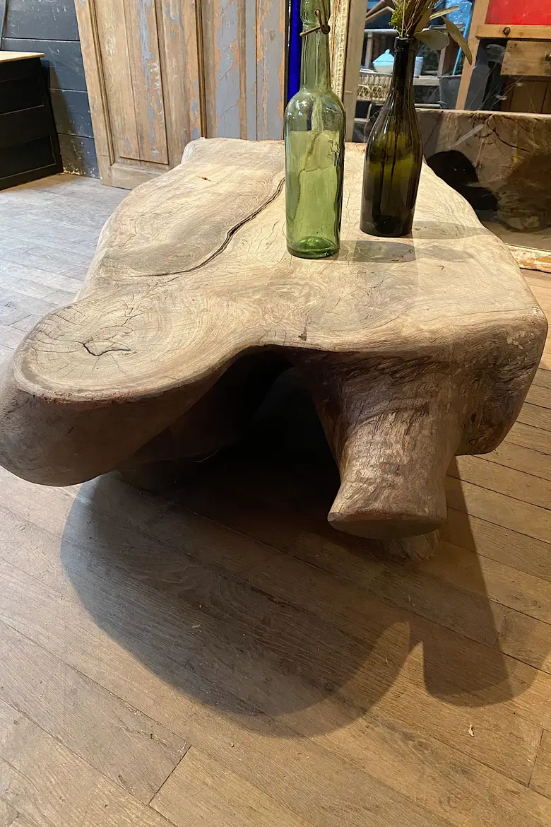 Table basse en racine de Suar Début XXème