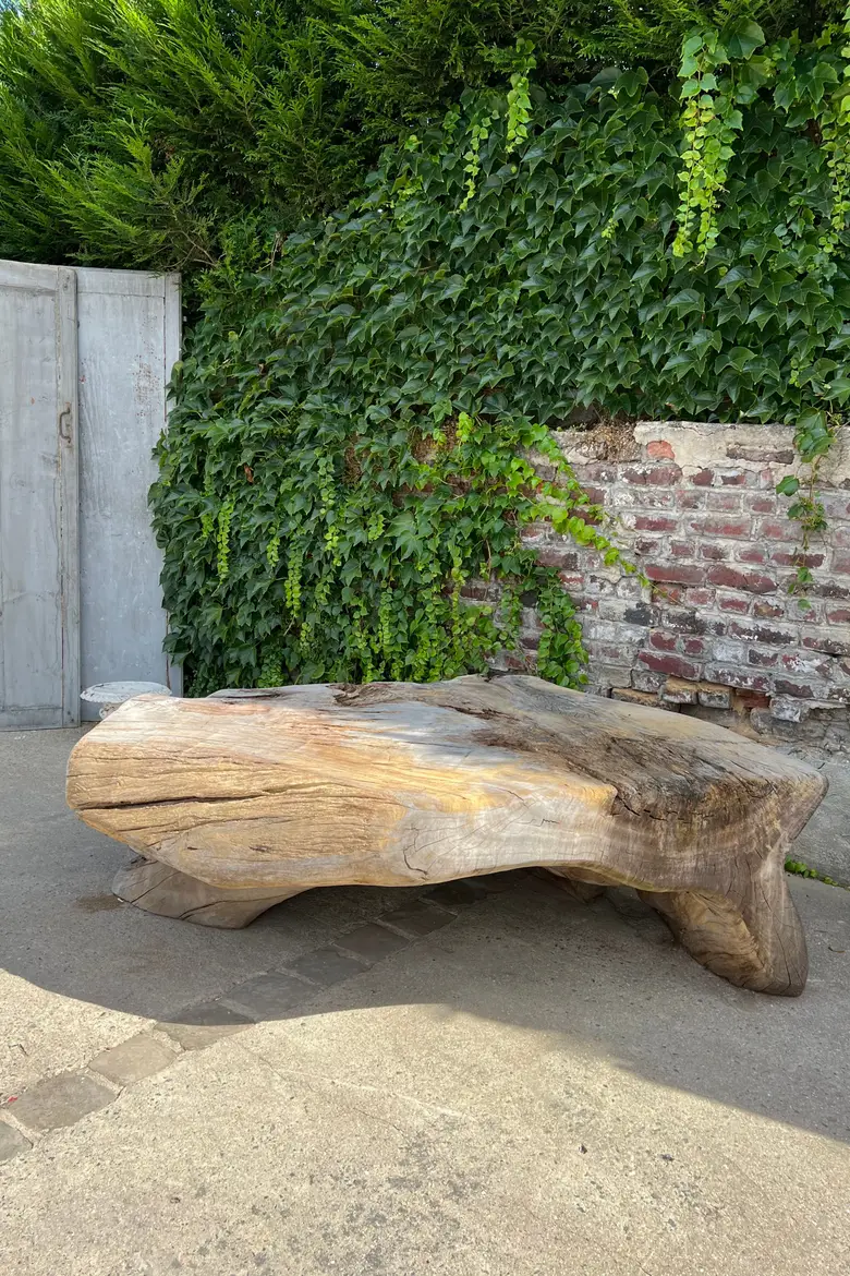 Table basse en racine de Suar Début XXème