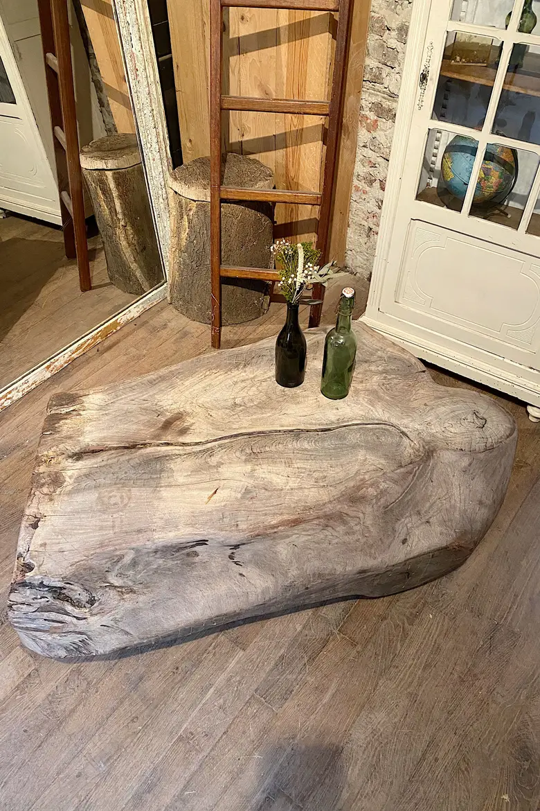 Table basse en racine de Suar Début XXème