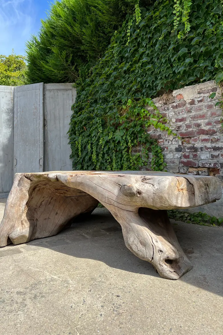Table basse en racine de Suar Début XXème