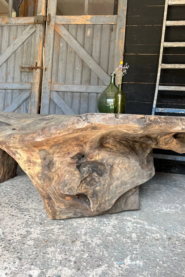 Table basse en racine de suar Début XXème
