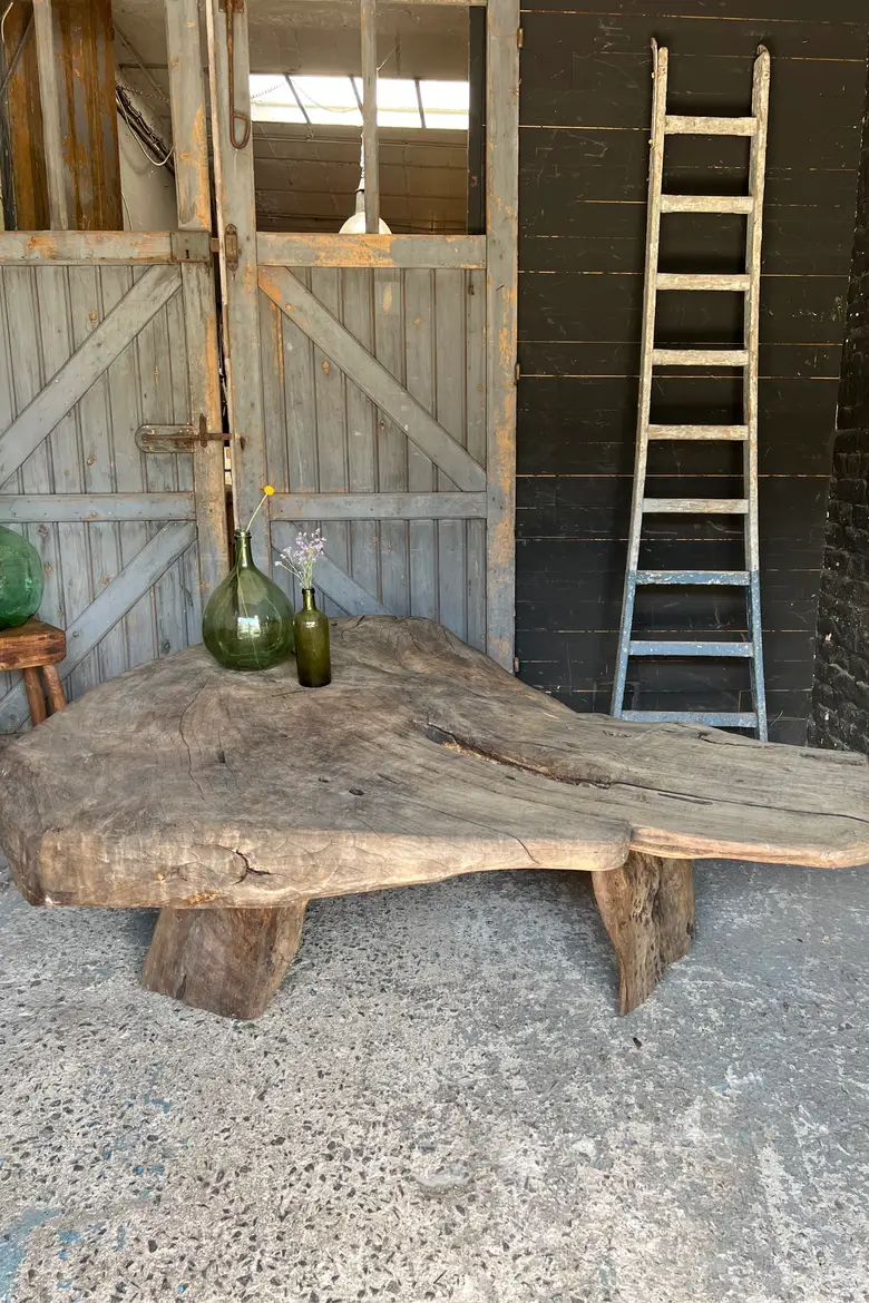 Table basse en racine de suar Début XXème