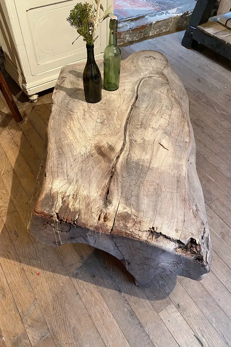 Table basse en racine de Suar Début XXème
