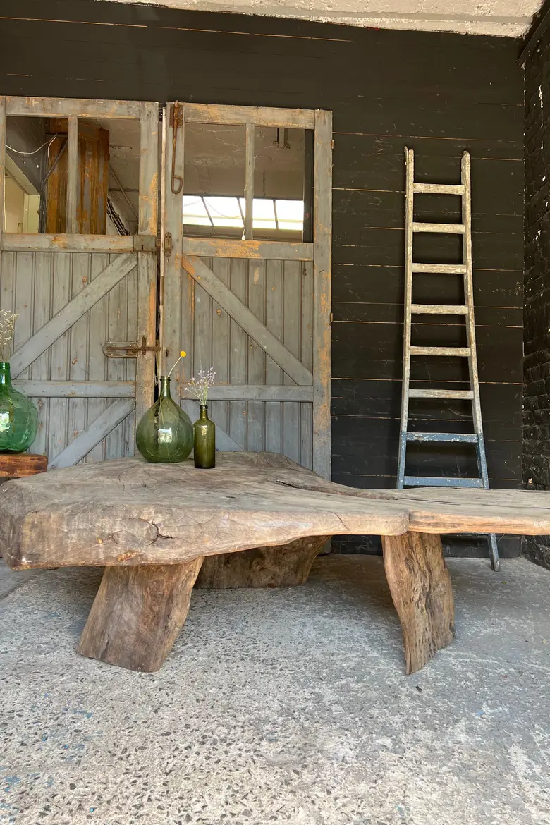 Table basse en racine de suar Début XXème