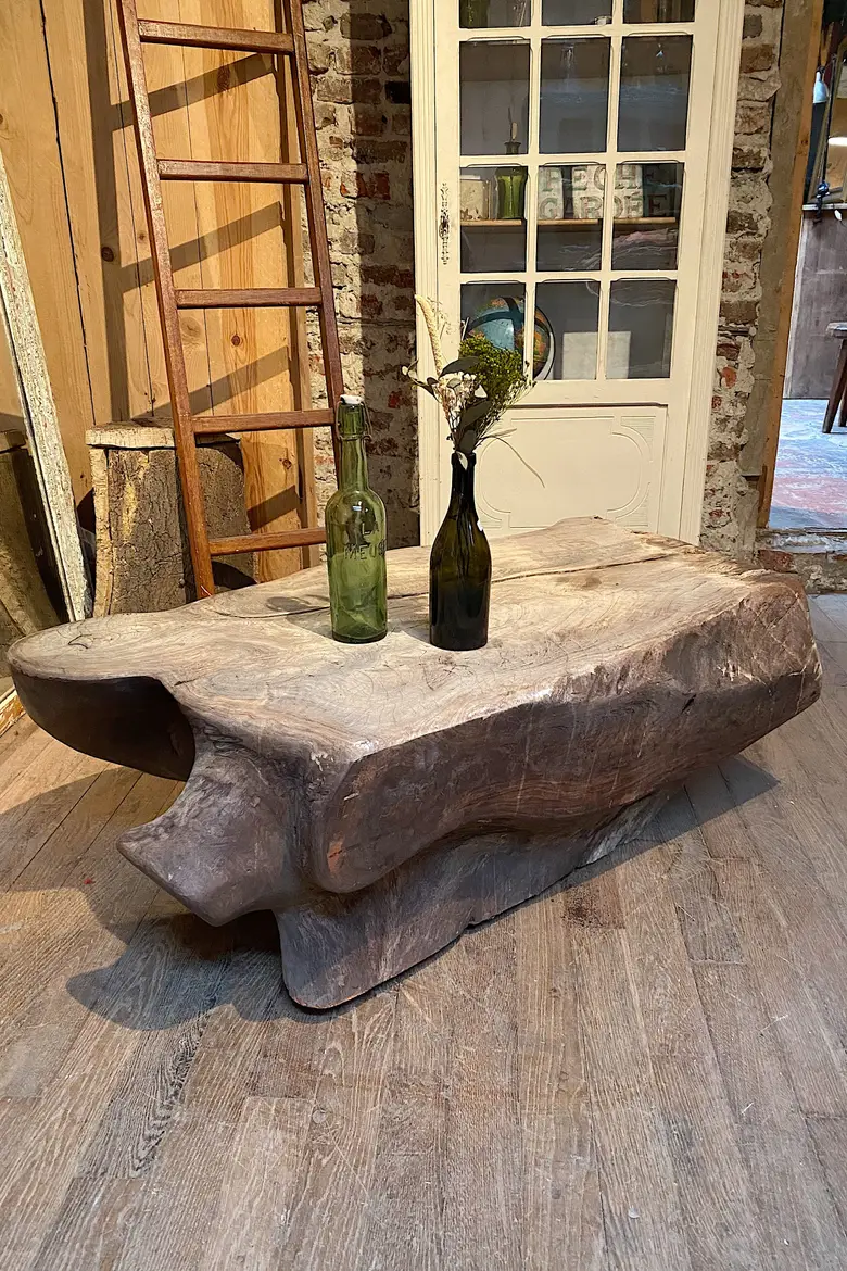 Table basse en racine de Suar Début XXème