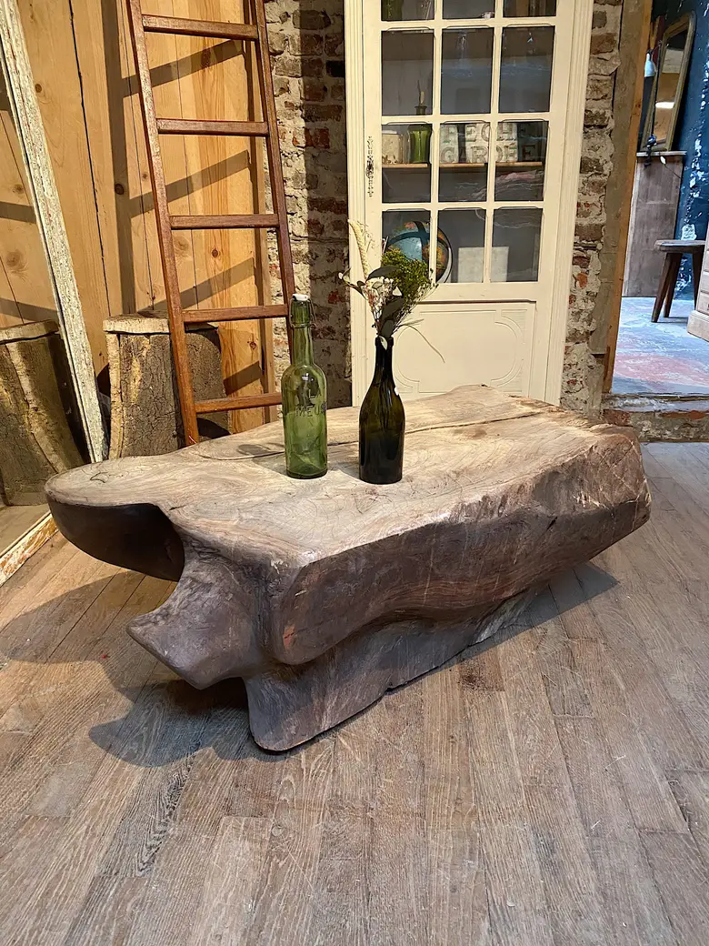 Table basse en racine de Suar Début XXème