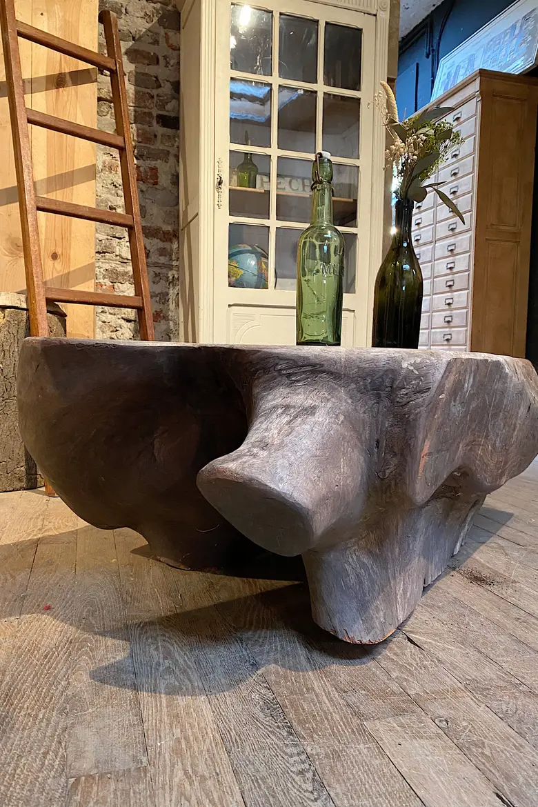 Table basse en racine de Suar Début XXème