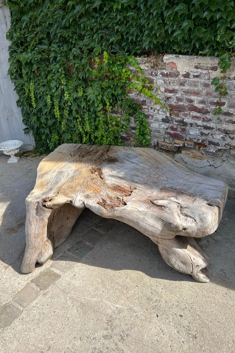 Table basse en racine de Suar Début XXème