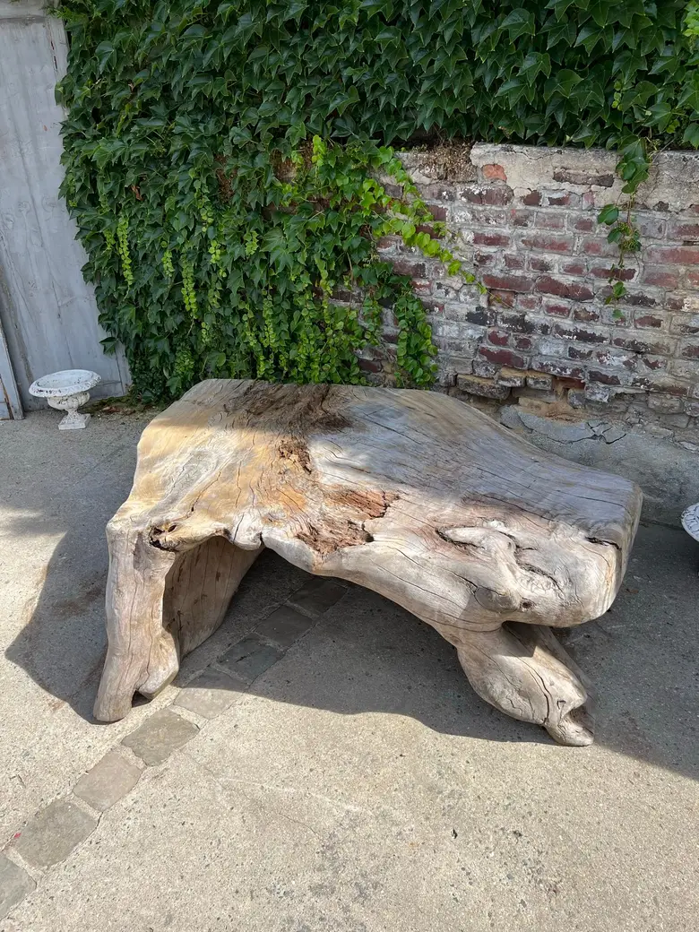 Table basse en racine de Suar Début XXème