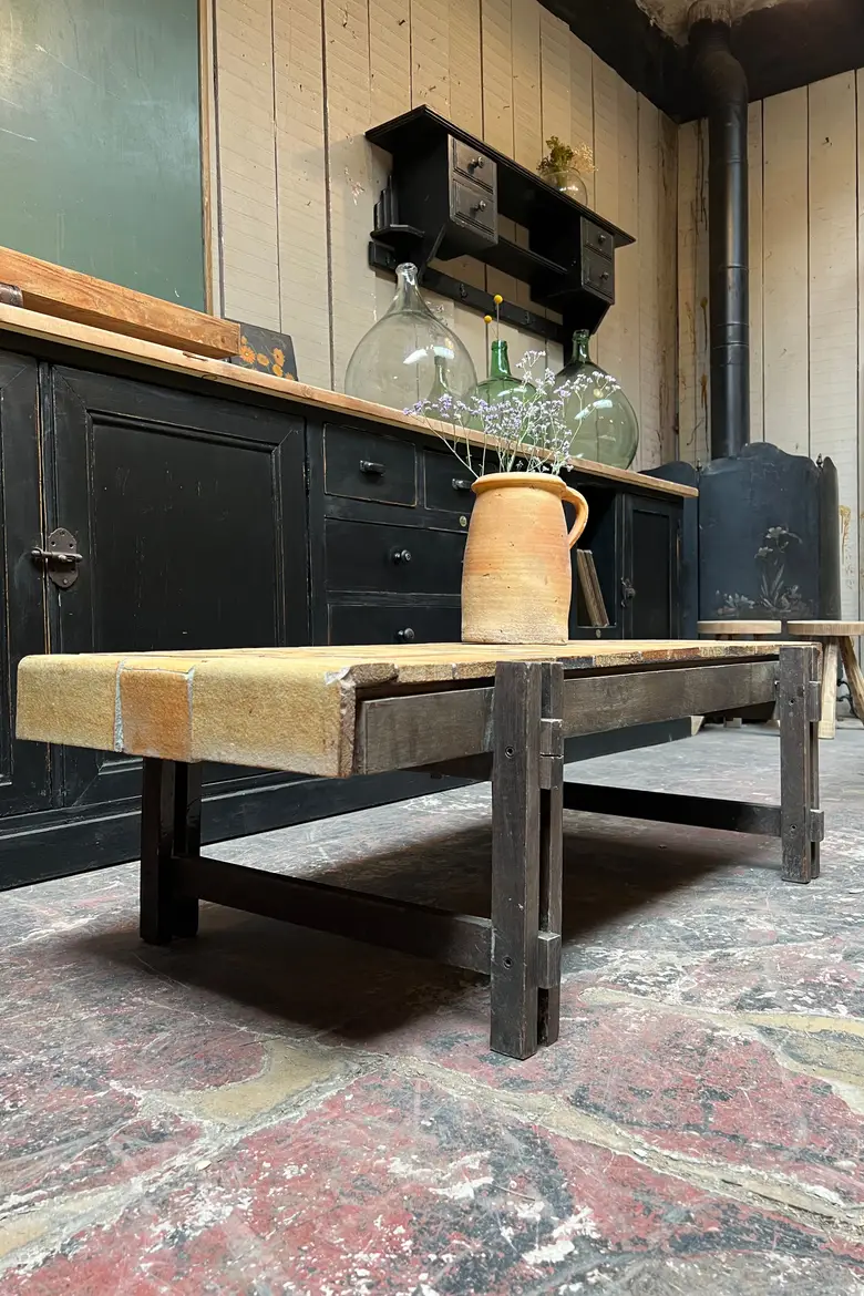 Table basse fossilisée végétale Roger Capron