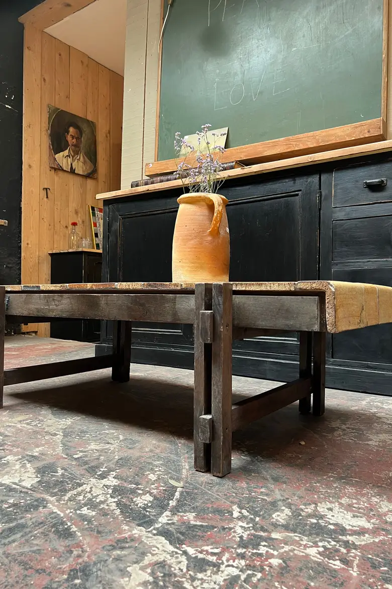 Table basse fossilisée végétale Roger Capron