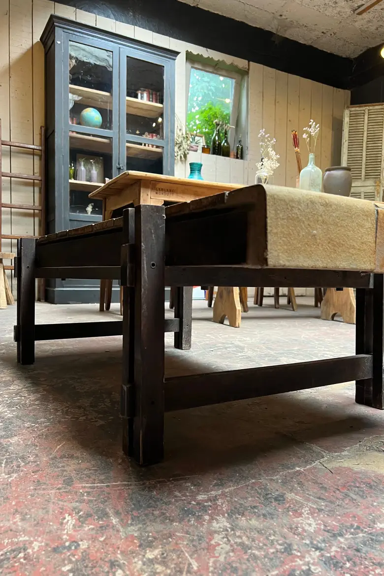 Table basse fossilisée végétale Roger Capron