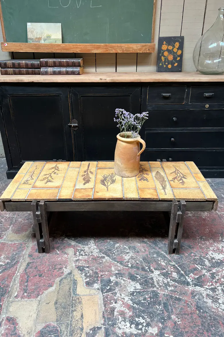 Table basse fossilisée végétale Roger Capron