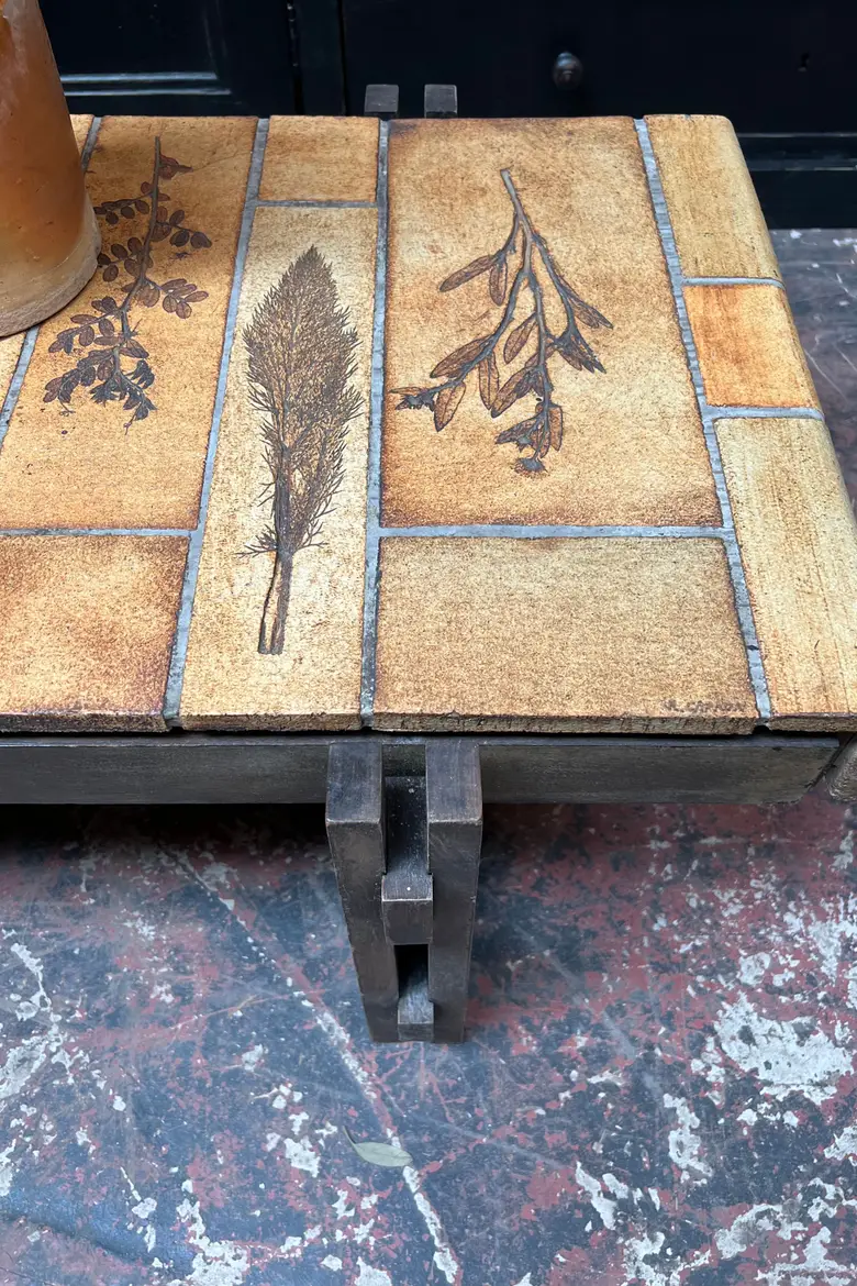 Table basse fossilisée végétale Roger Capron
