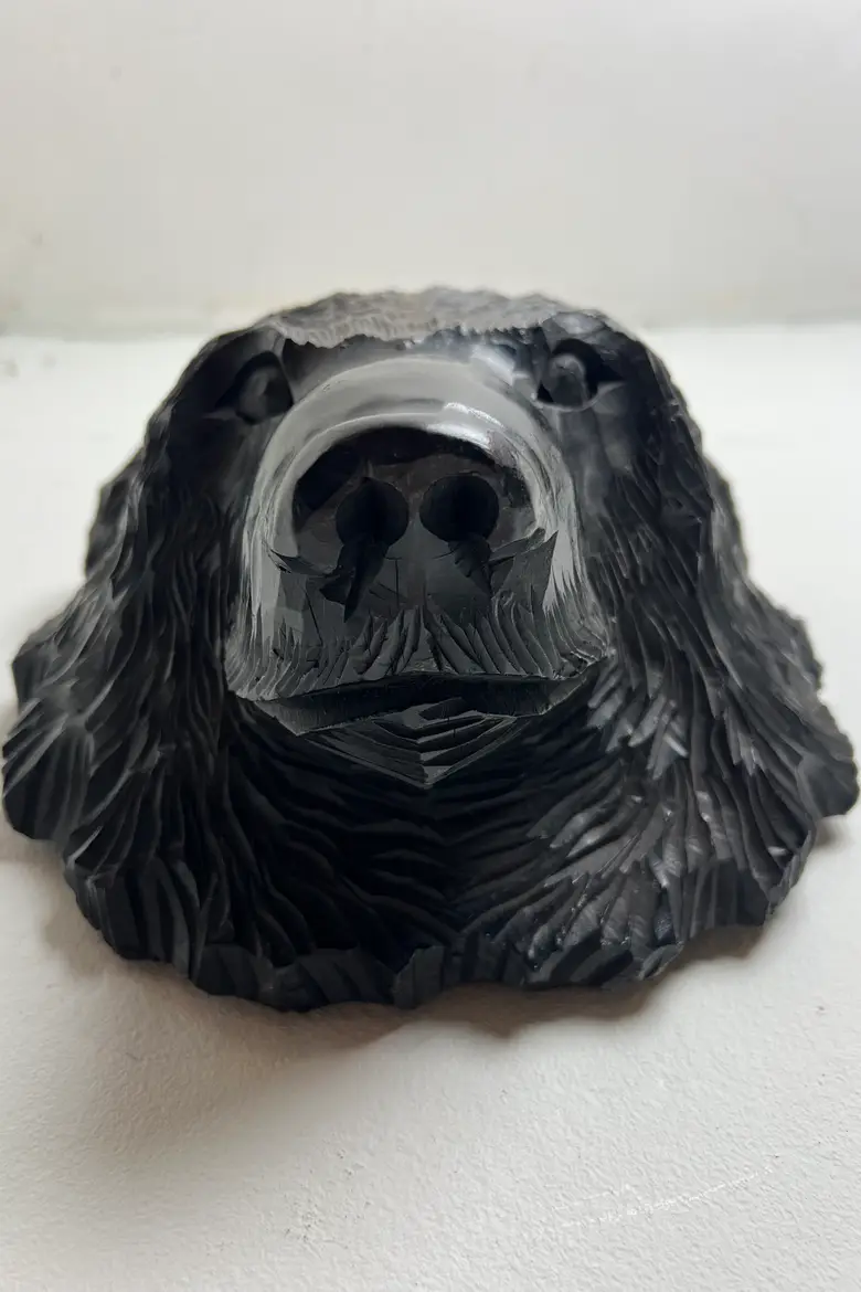 Trophée d’ours Japonais