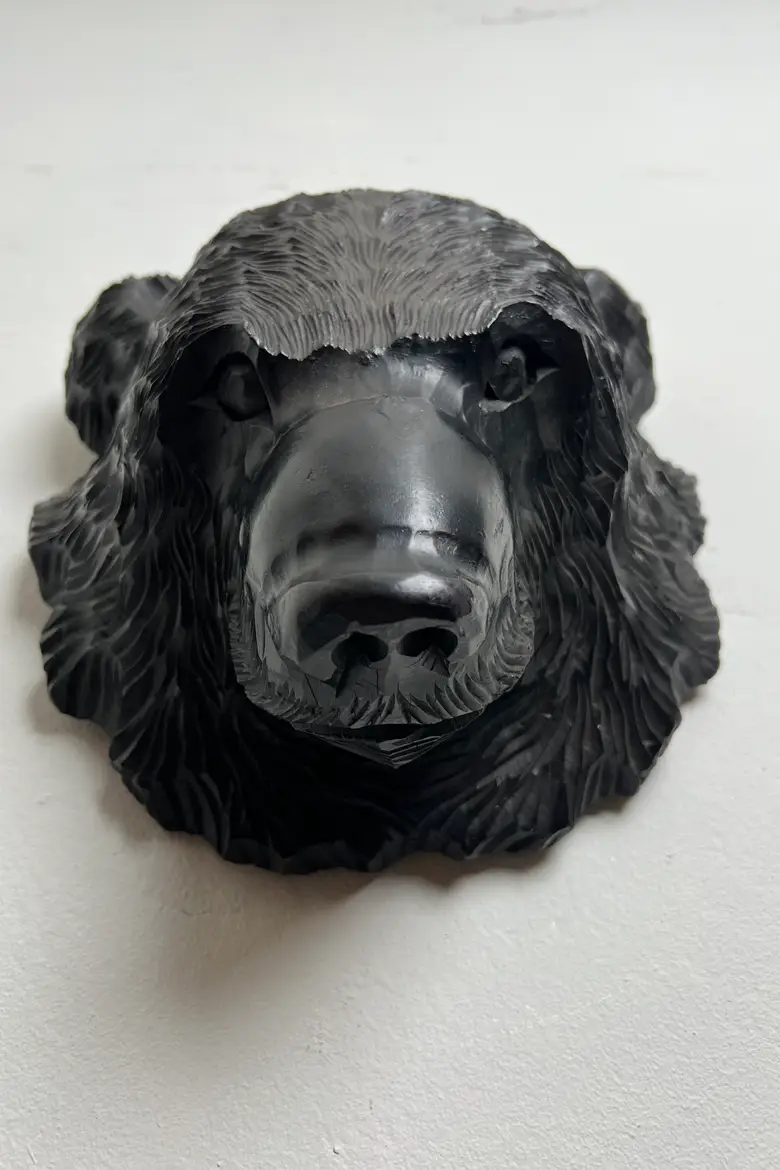 Trophée d’ours Japonais