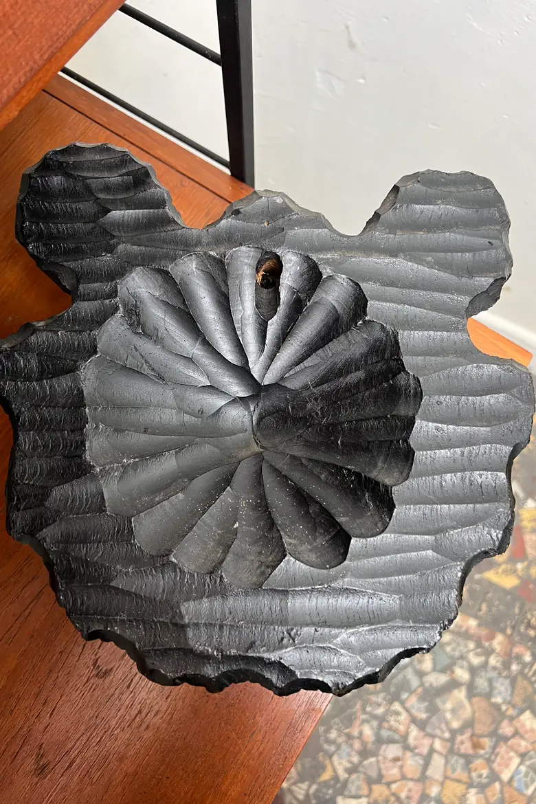 Trophée d’ours Japonais